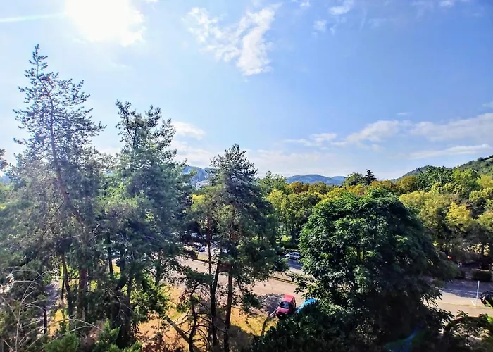 Carancini Salsomaggiore Terme